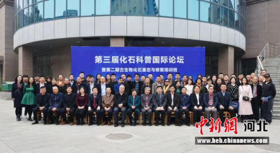 第三届化石科普国际论坛4日在河北省会石家庄举办。 张欣 摄